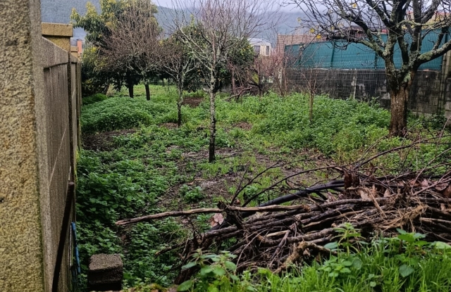 Frente finca Boiro.jpg